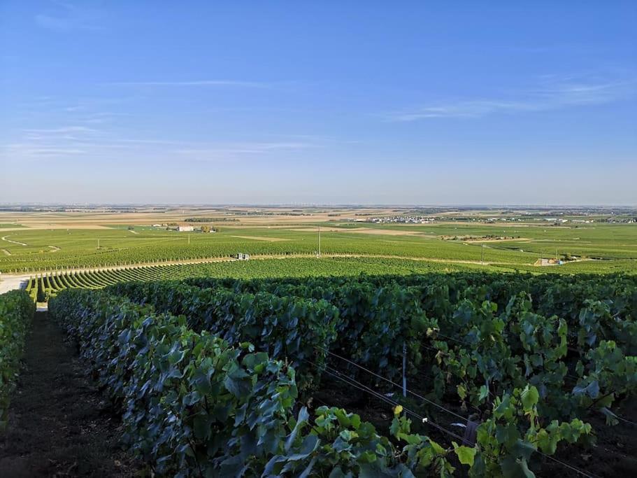Gîte La bulle de Léna avec petit-déjeuner Flavigny Exterior foto